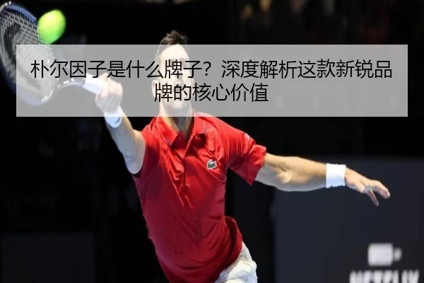 朴尔因子是什么牌子？深度解析这款新锐品牌的核心价值