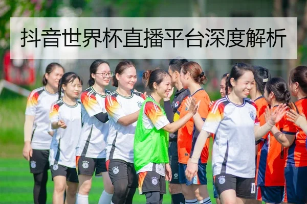 抖音世界杯直播平台深度解析
