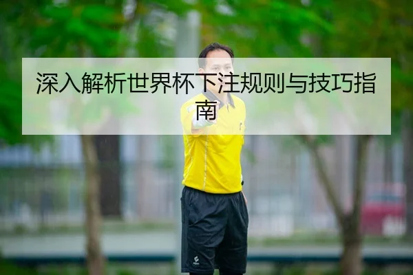 深入解析世界杯下注规则与技巧指南
