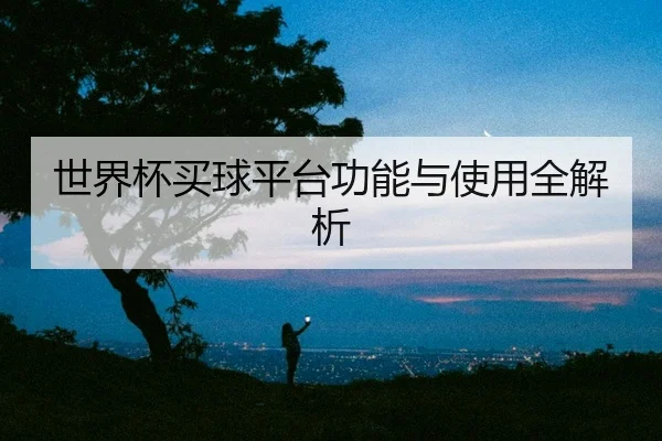世界杯买球平台功能与使用全解析