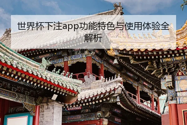 世界杯下注app功能特色与使用体验全解析