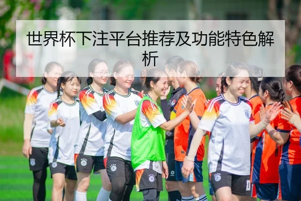 世界杯下注平台推荐及功能特色解析