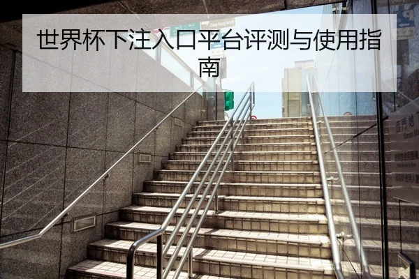世界杯下注入口平台评测与使用指南