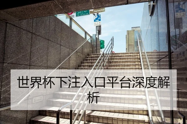 世界杯下注入口平台深度解析