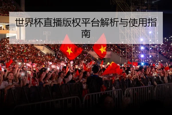 世界杯直播版权平台解析与使用指南